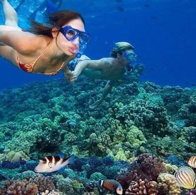 Snorkeling sur l'île d'Hamata depuis Marsa Alam