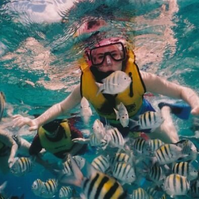 Snorkeling à Sharm El Naga