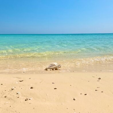 Sharm El Luli - Excursion de snorkeling au départ de Marsa Alam